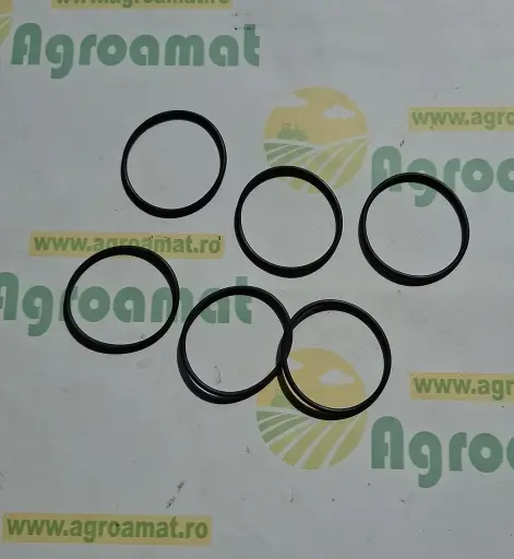 [AMAT1-79328] Kit O-ring-uri RE516512