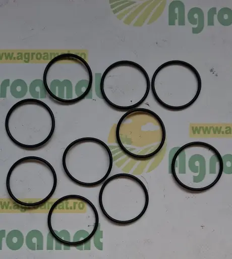 [AMAT1-79330] Kit O-ring pentru pompa combustibil RE516513
