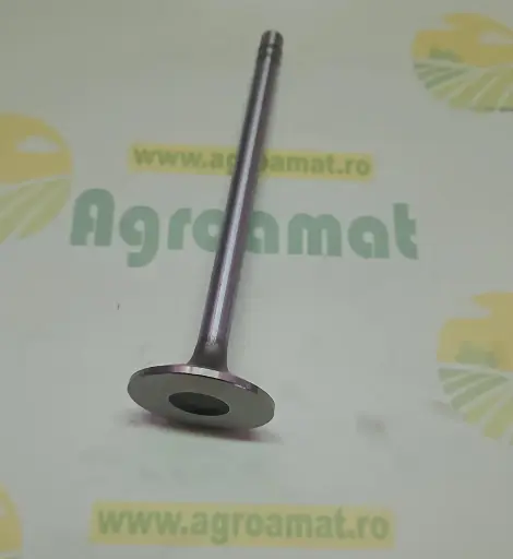 [AMAT1-79419] Supapa Admisie R55055