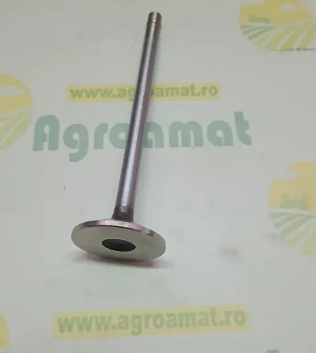 [AMAT1-79420] Supapa de Evacuare R55056