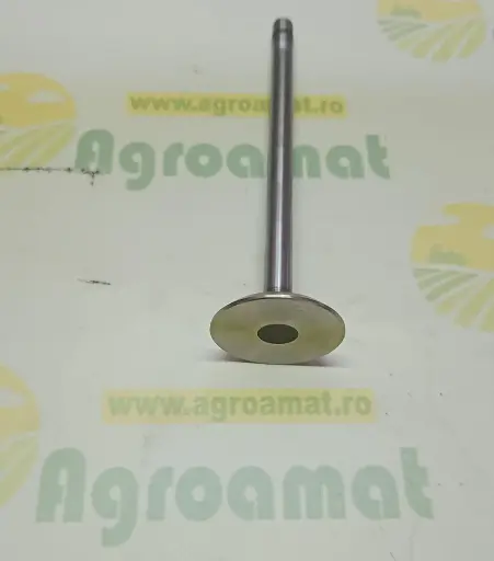 [AMAT1-79594] Supapa de Evacuare R43788