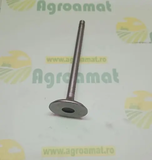 [AMAT1-79602] Supapa de admisie R45004
