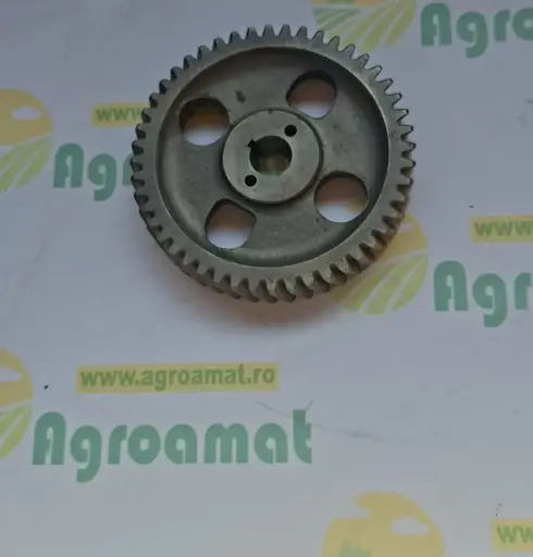 [AMAT1-79639] Pinion Pompa Injectie Z-48 R104907