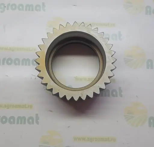 [AMAT1-79745] Pinion Planetar R128419