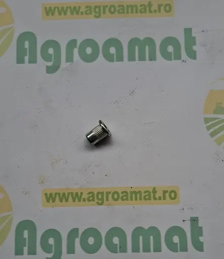 [AMAT1-79812] Piulita nit striata R182137