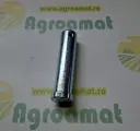 Pin Arbore Culisant 893568M1