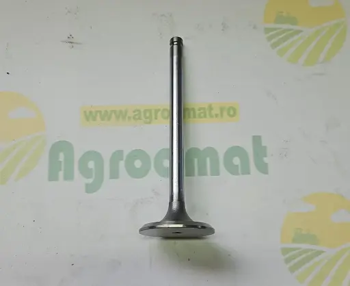 [AMAT1-80115] Supapa Admisie 31431281