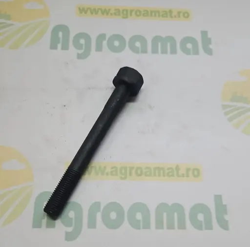 [AMAT1-80116] Surub Chiulasa 32181458