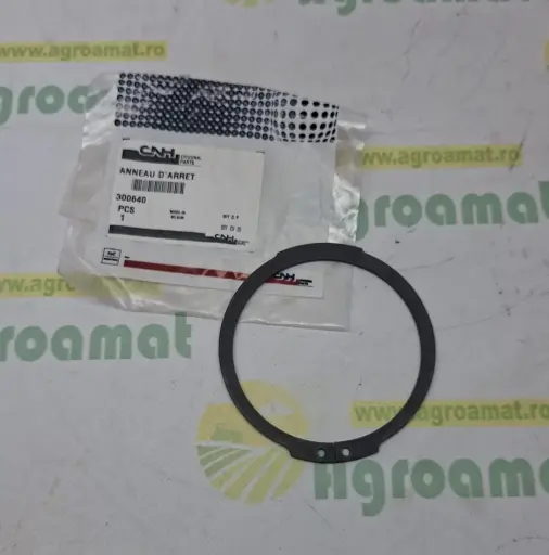 [AMAT1-80352] Siguranta 300640