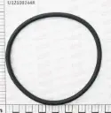O-ring