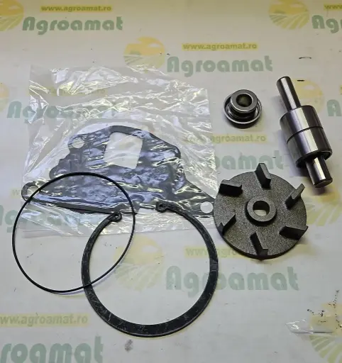 [AMAT1-80792] Kit Reparatie Pompa Apa 81866488