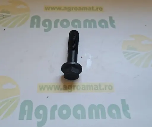[AMAT1-80866] Bolt 99431774