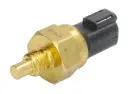 Senzor Temperatura 