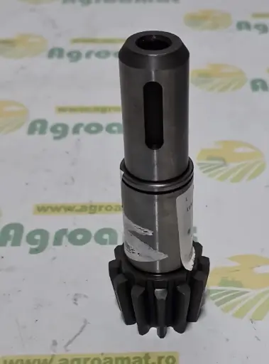 [AMAT1-81765] Arbore Pinion Grebla Krone