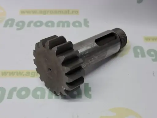 [AMAT1-82251] Arbore Canelat Z16