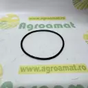 O-Ring 9927344