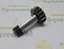 Arbore Pinion