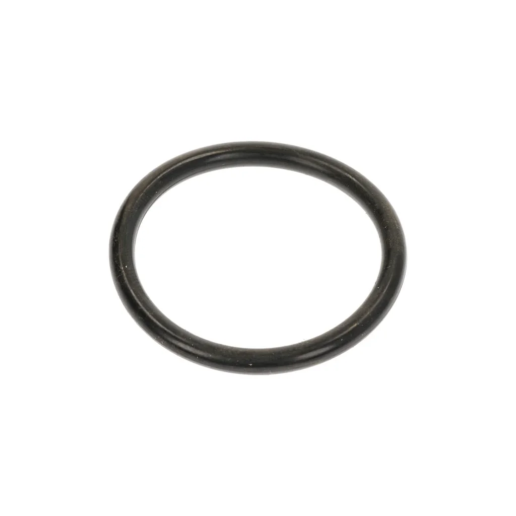 [AMAT2-19260] O-ring 0002384080