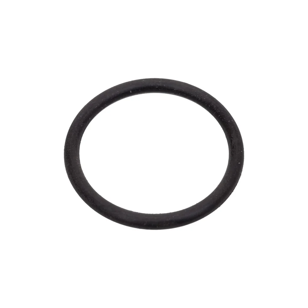[AMAT2-19780] O-ring 0002116921