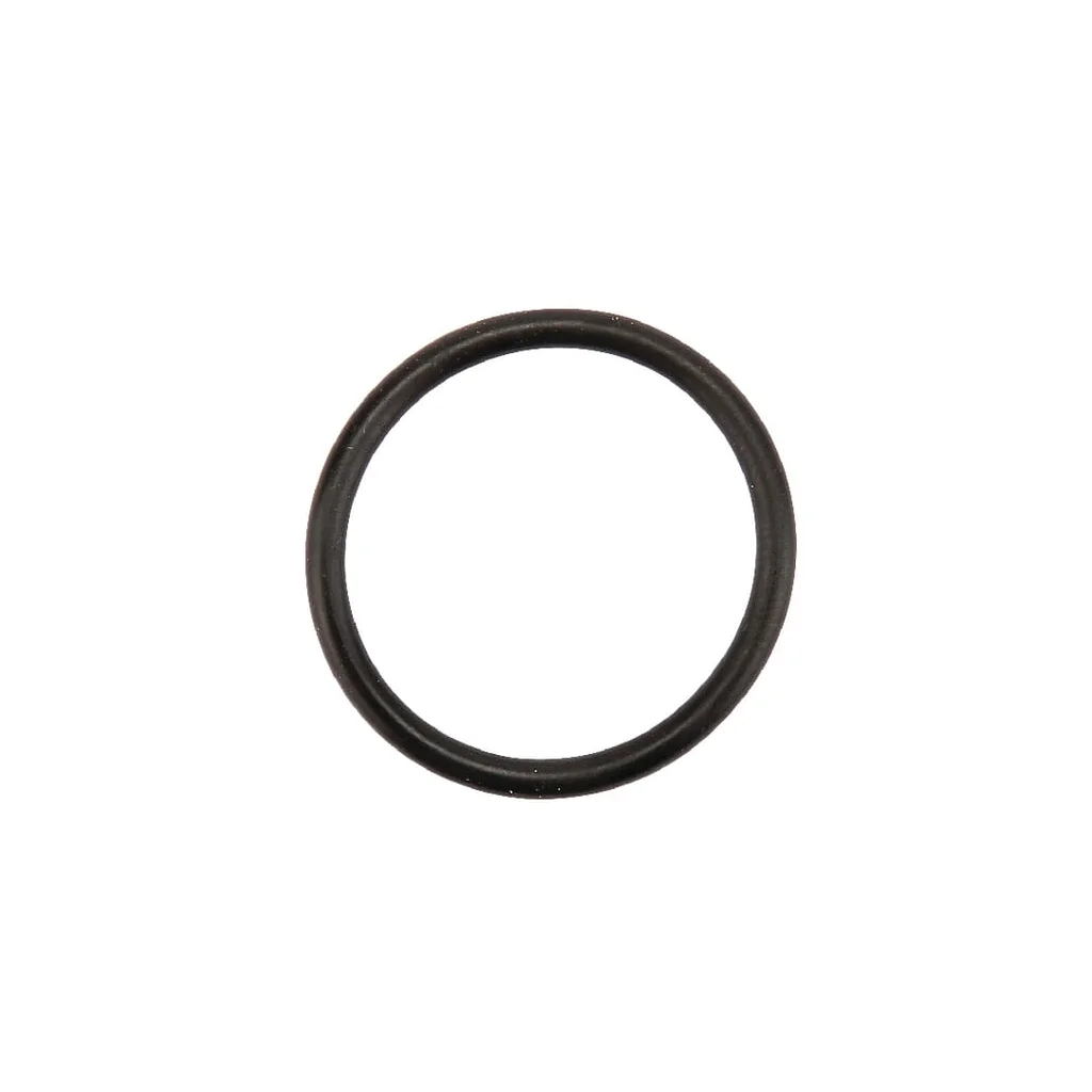 [AMAT2-19960] O-ring 0002383530KR