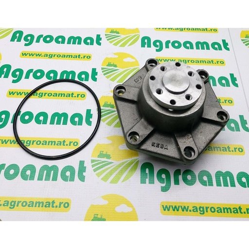 [AMAT1-02825] Pompa apa F312200610010