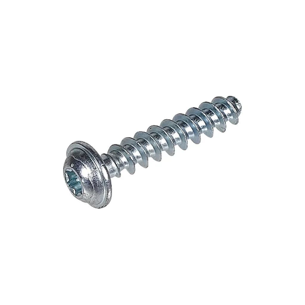 [AMAT2-21508] Şurub K50X25 WN1451 0012631