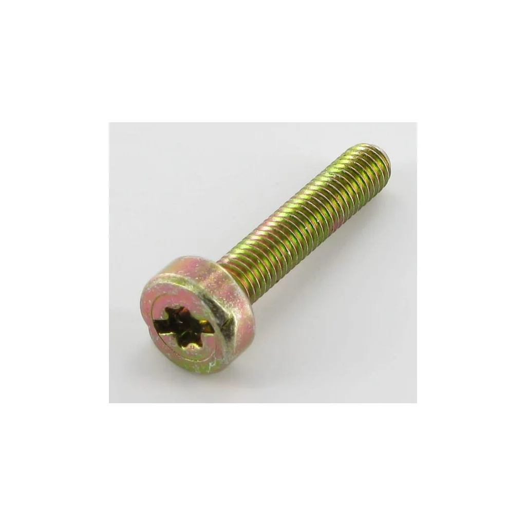 [AMAT2-22703] Șurub Torx5x25 0018338