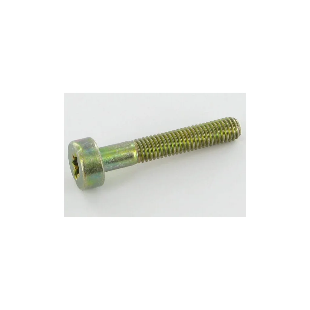 [AMAT2-22943] Șurub Torx5x30 0018339