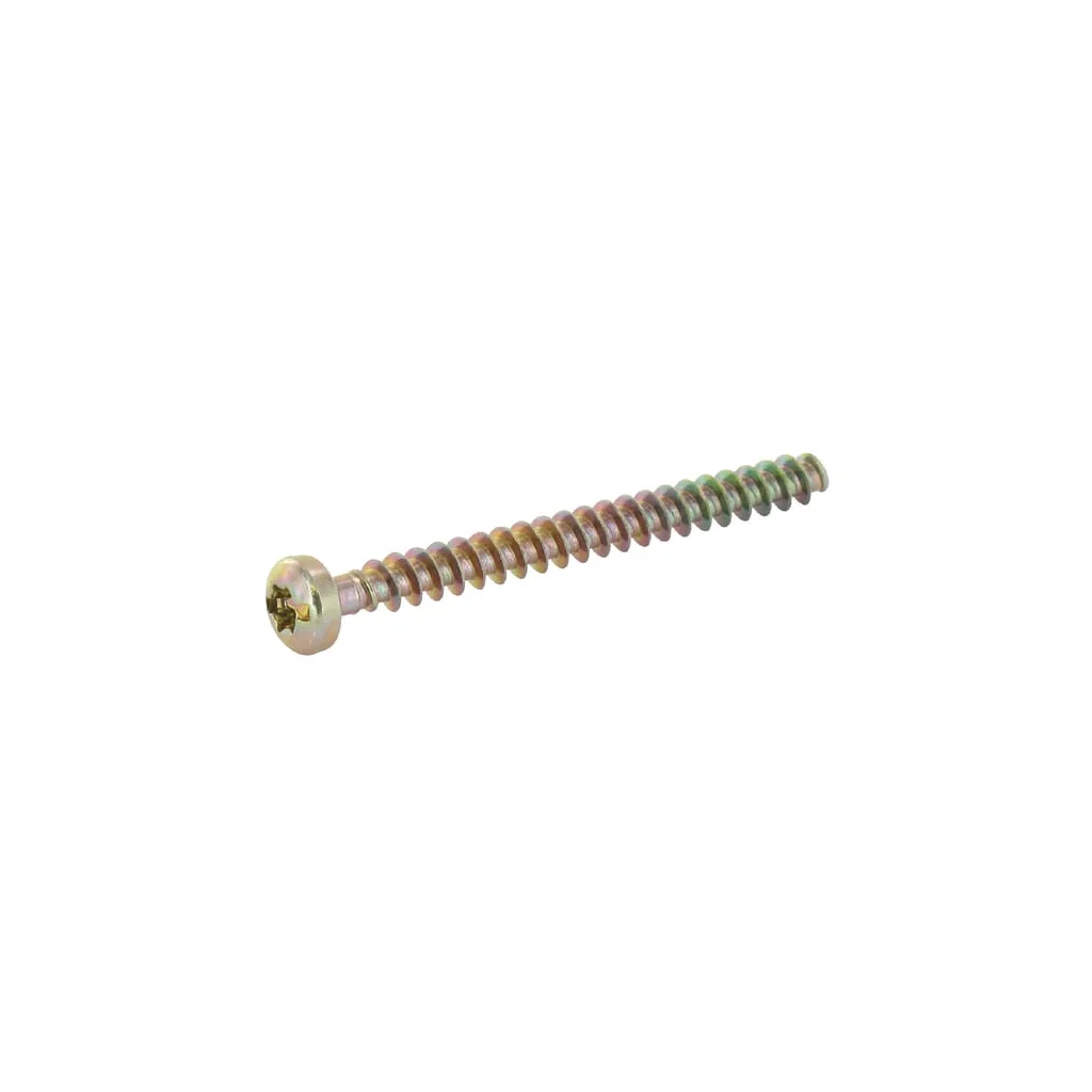 [AMAT2-22957] Șurub M5x55 0018382