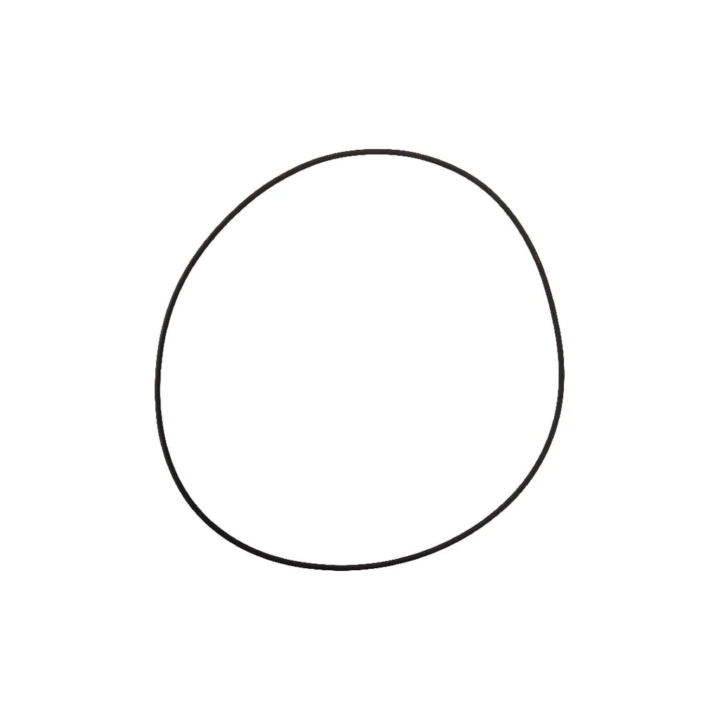 [AMAT2-24365] O-ring 001051352