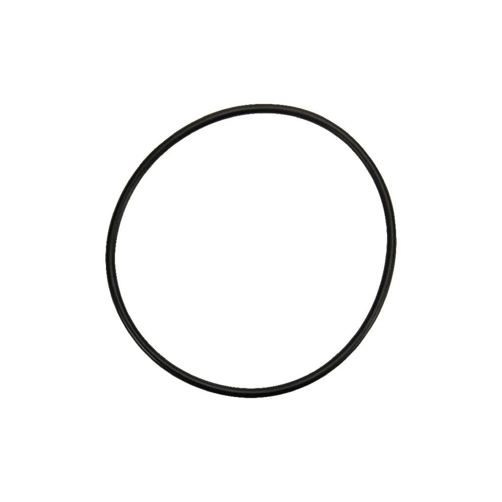 [AMAT2-24366] O-ring 001051389