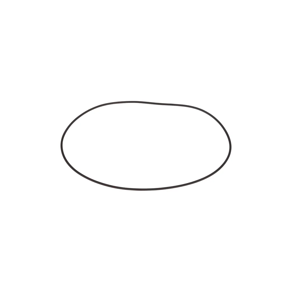 [AMAT2-24652] O-ring 001051642