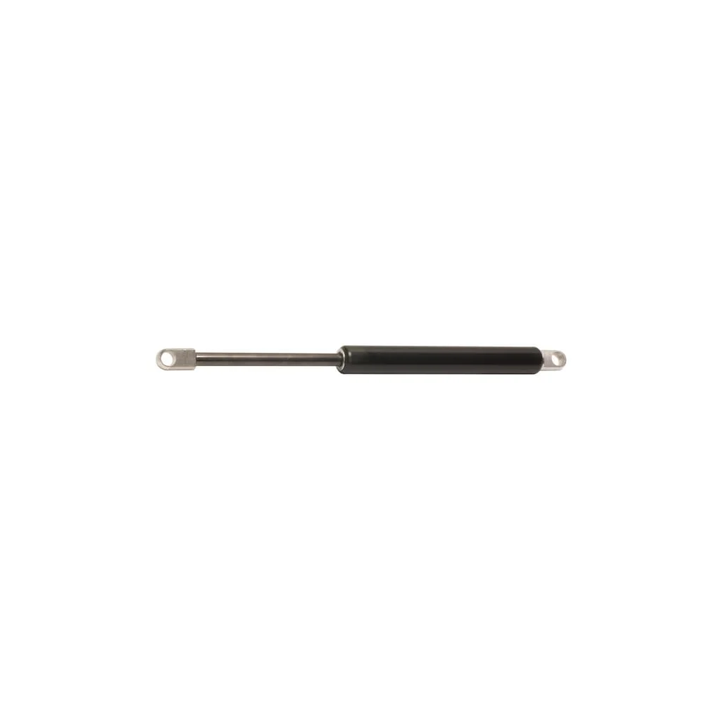 [AMAT2-24679] Amortizor complet 001062690N