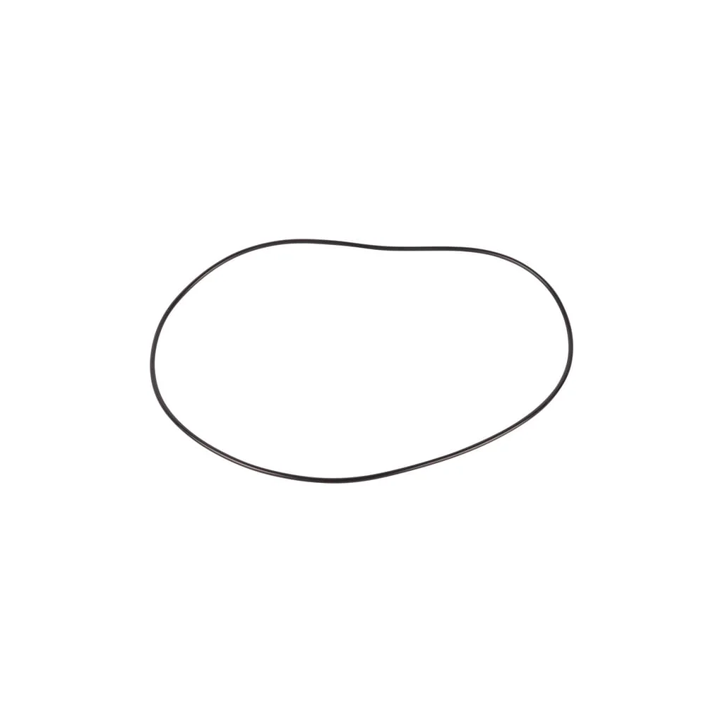 [AMAT2-24967] O-ring 001051356