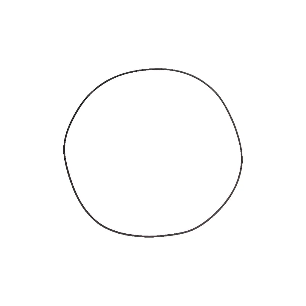 [AMAT2-25112] O-ring 001053338