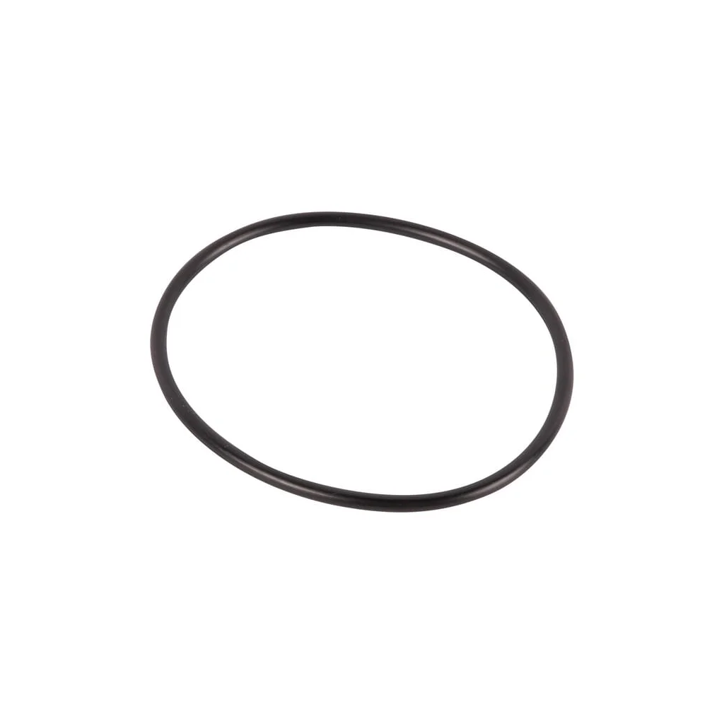 [AMAT2-25127] O-ring 001050746