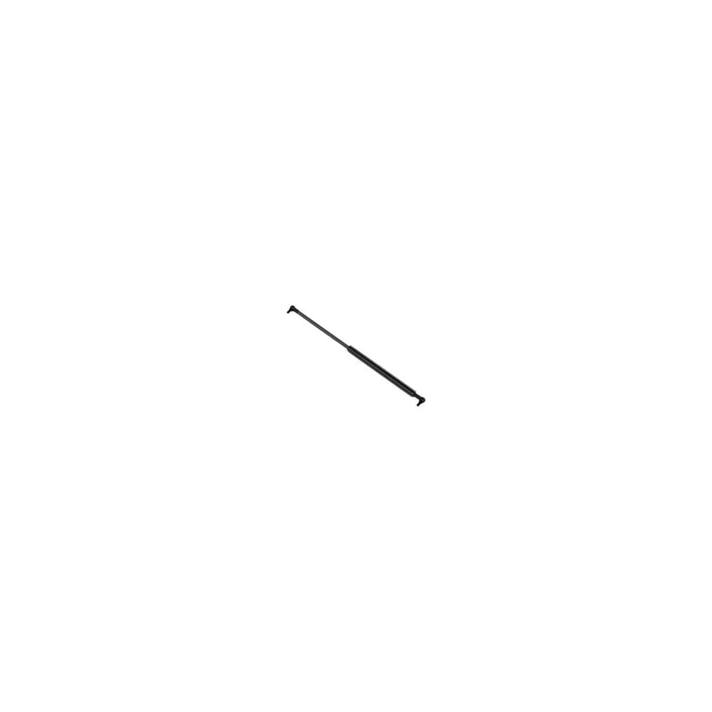 [AMAT2-25155] Amortizoare gaz 0011420110
