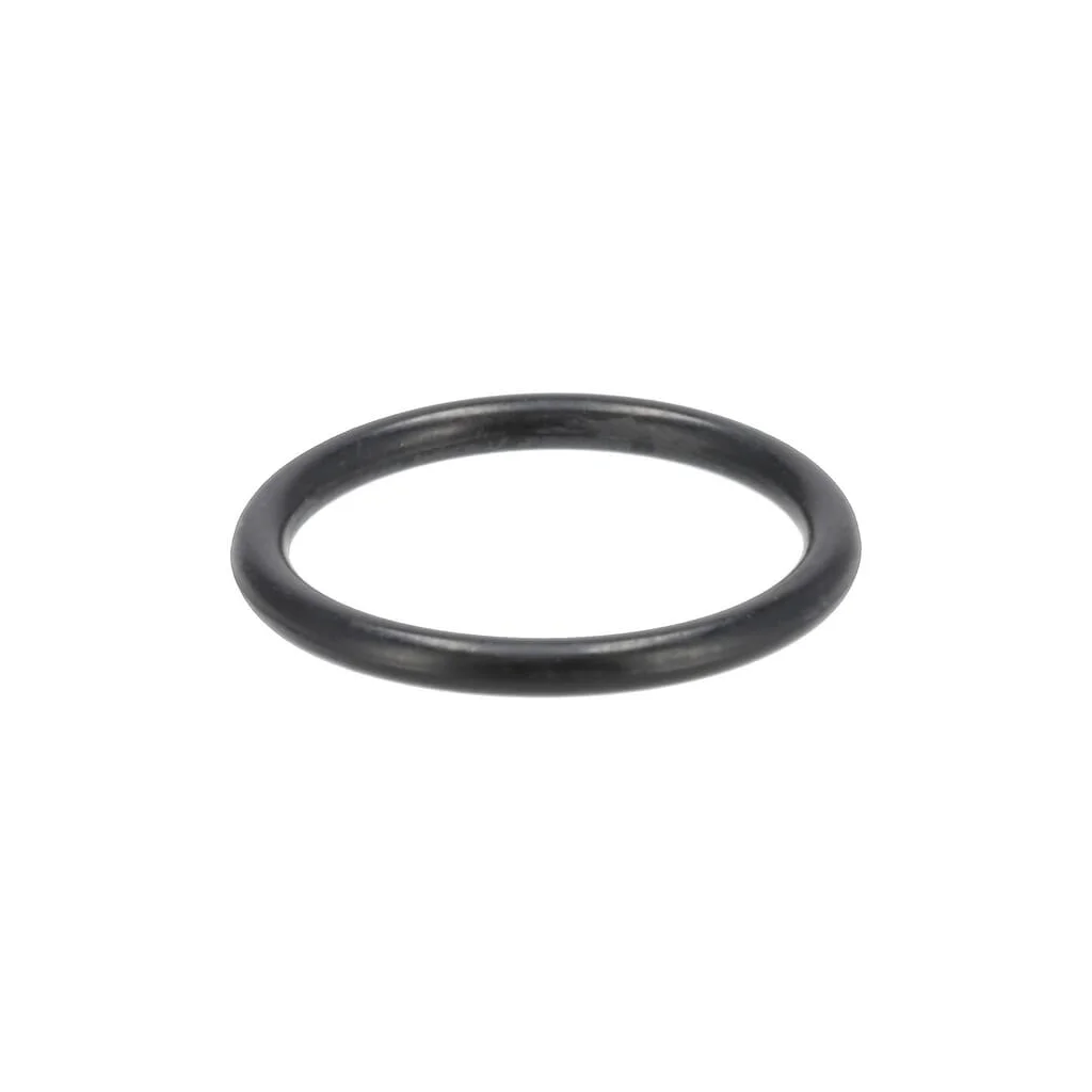 [AMAT2-29109] Garnitură inelară 01169763