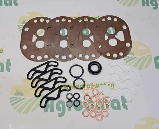 [AMAT1-01961] Kit reparatie Pompa Hidraulica 176962