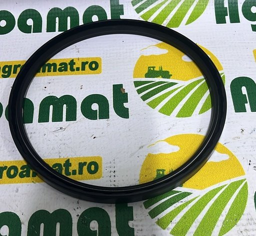 [AMAT1-17253] Simering 7700005569