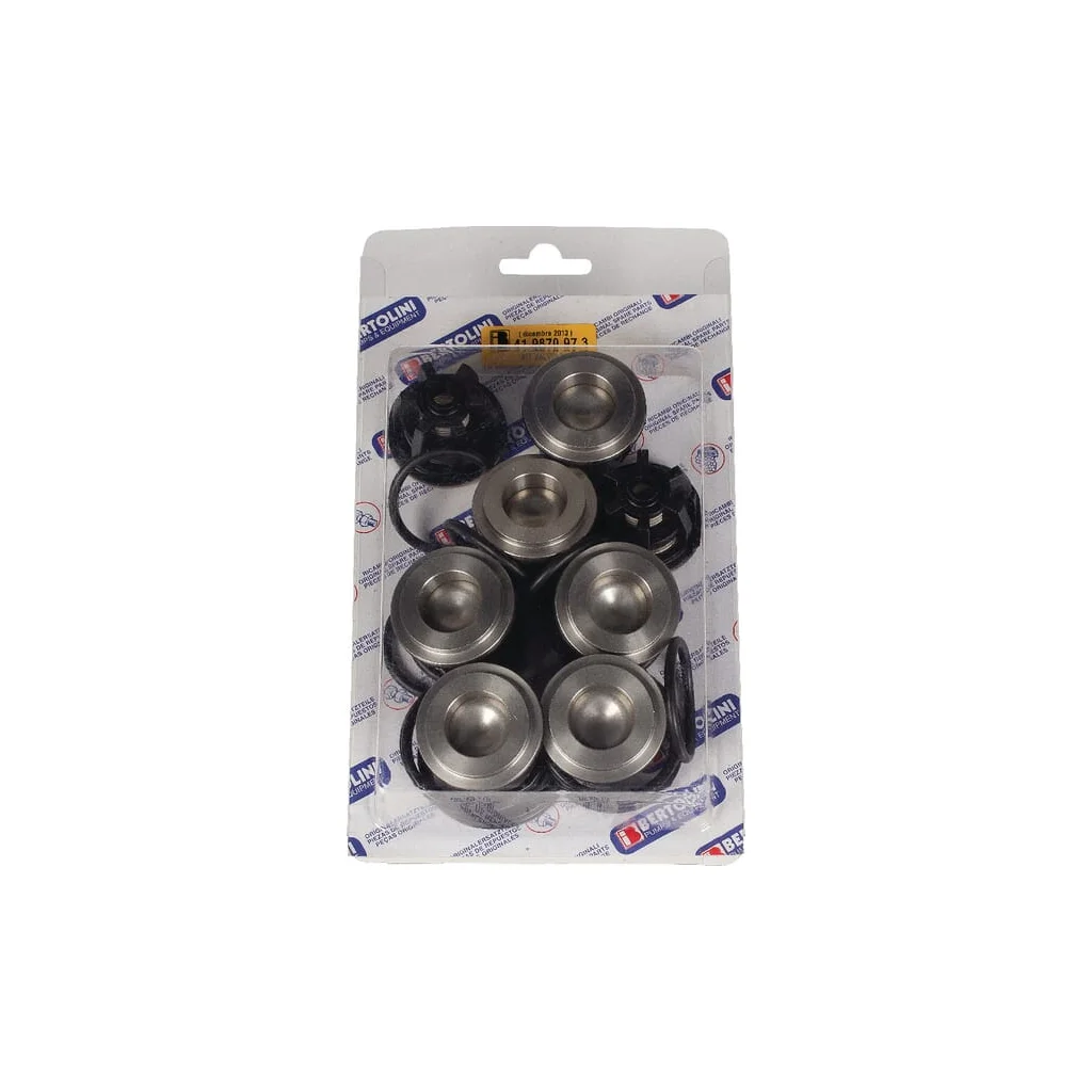 Kit supape de reținere + O-ringuri 141 019826973