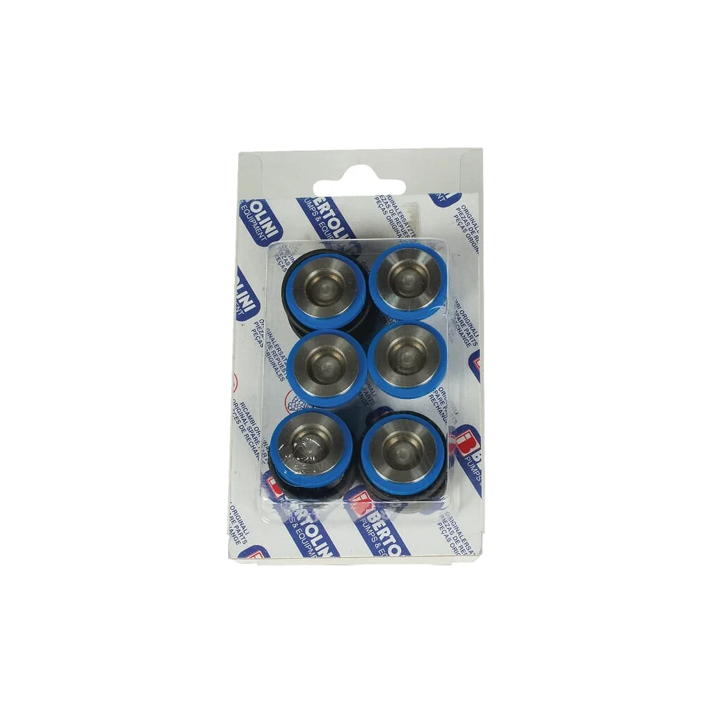 Set supape Bertolini 039875973