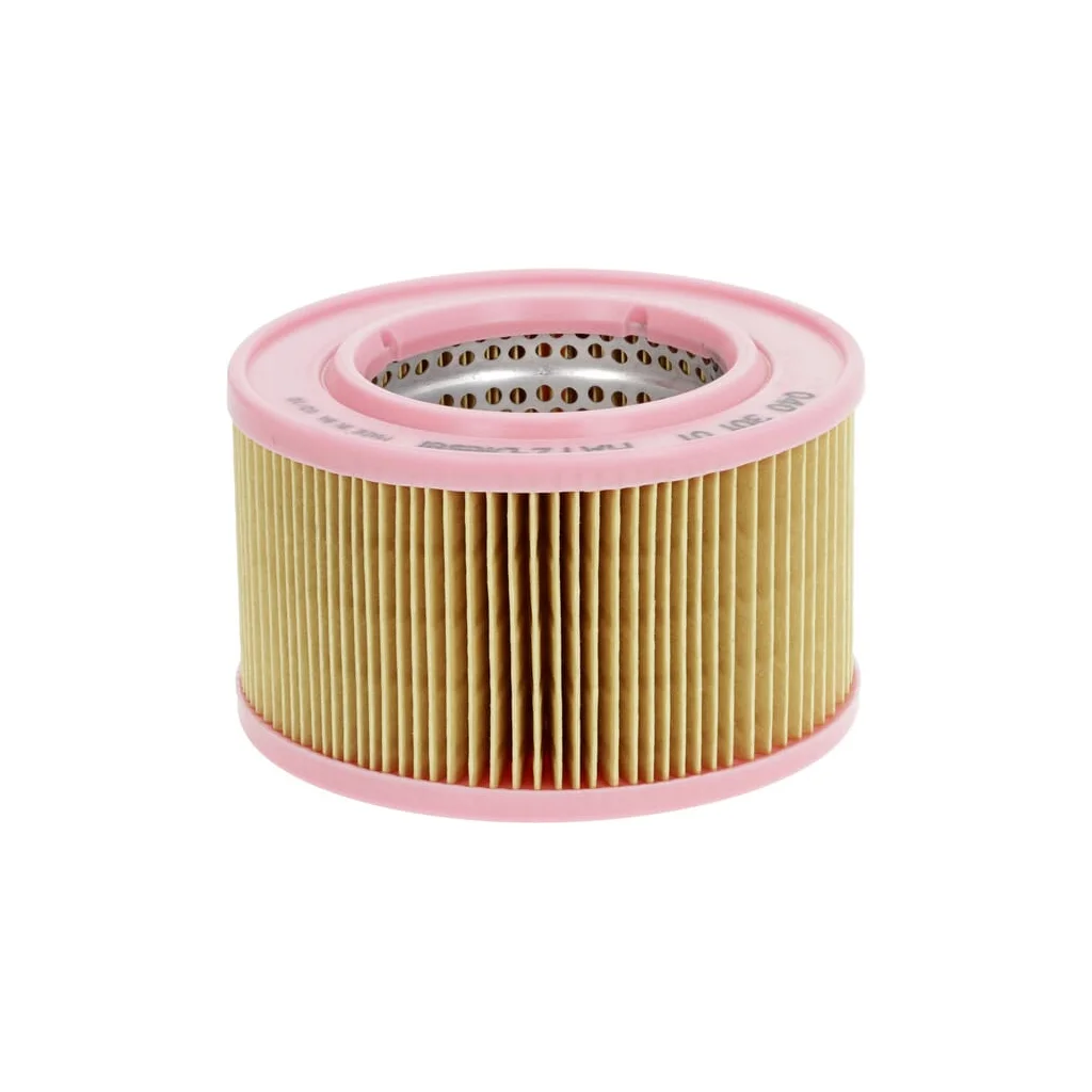 [AMAT2-31649] Filtru de aer 04030101