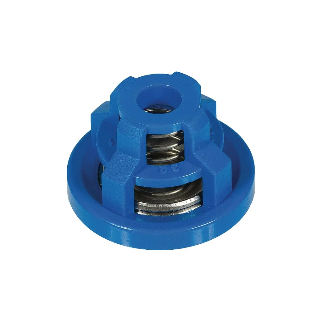 [AMAT2-31787] Ansamblu supape Bertolini 039821973