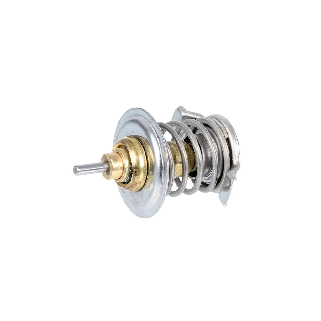 [AMAT2-31922] Termostat 04198786