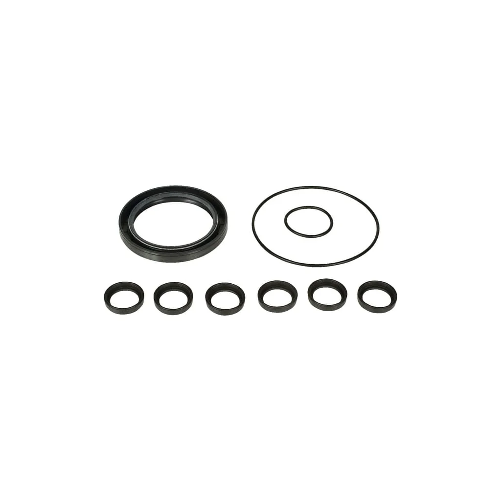 [AMAT2-32114] Set piese de rezervă pompă Bertolini 039874973