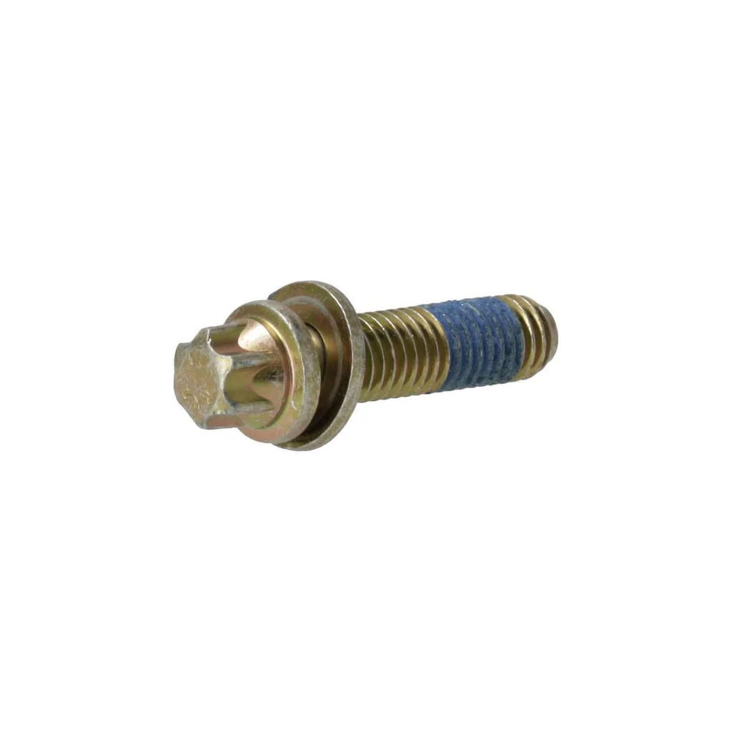 [AMAT2-32883] Șurub Torx 01179437