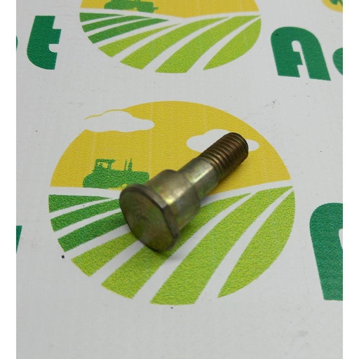 [AMAT1-01245] Surub Rola Pick-up Ø 15mm