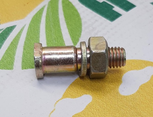 [AMAT1-01244] Surub Rola Pick-up Ø 12mm