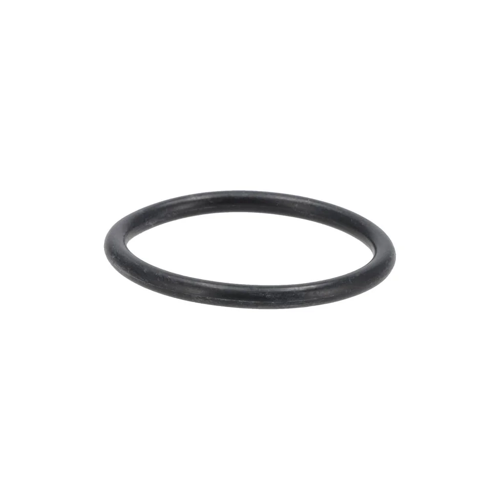 [AMAT2-33713] Garnitură inelară 01179881